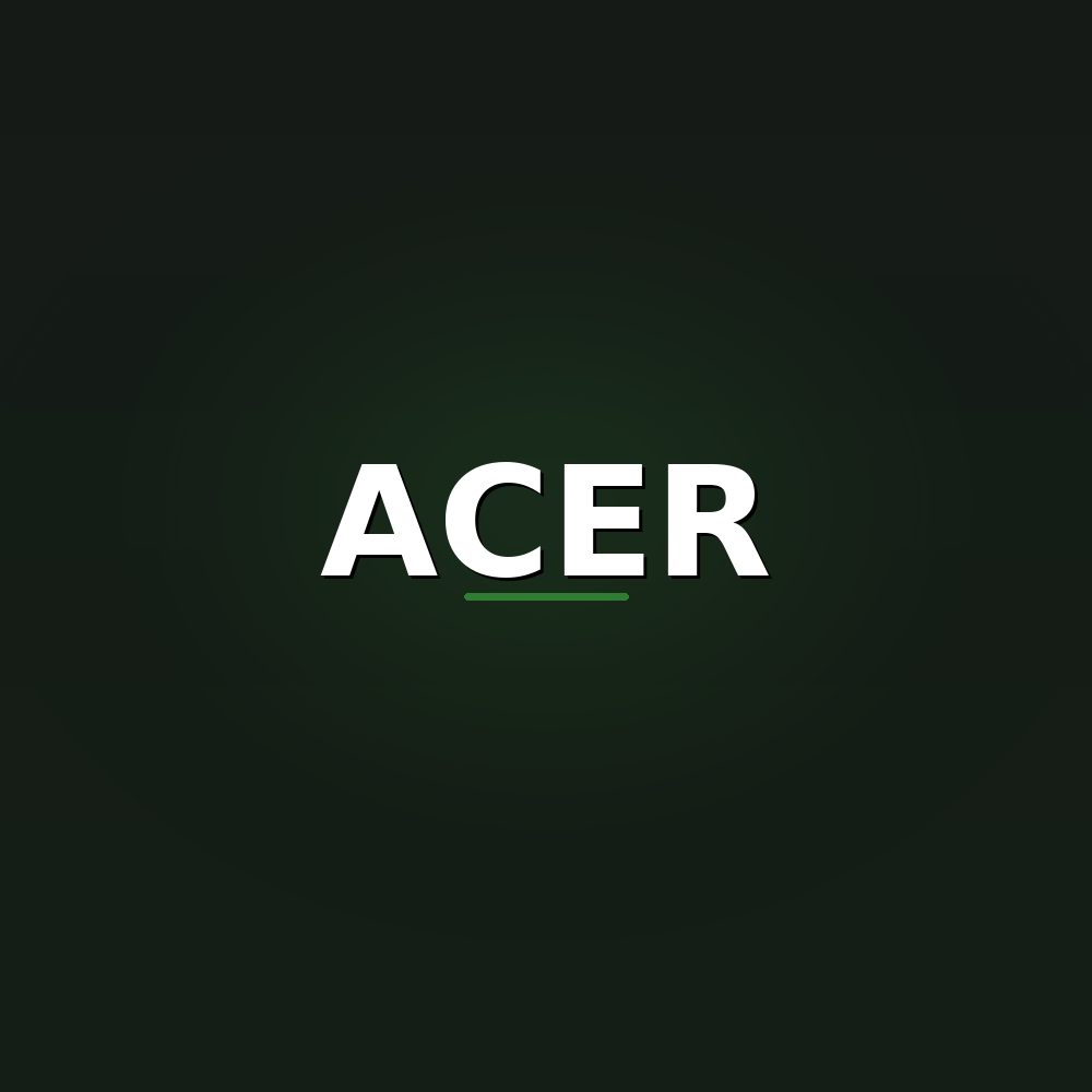 Acer – Notebook-Ersatzteile