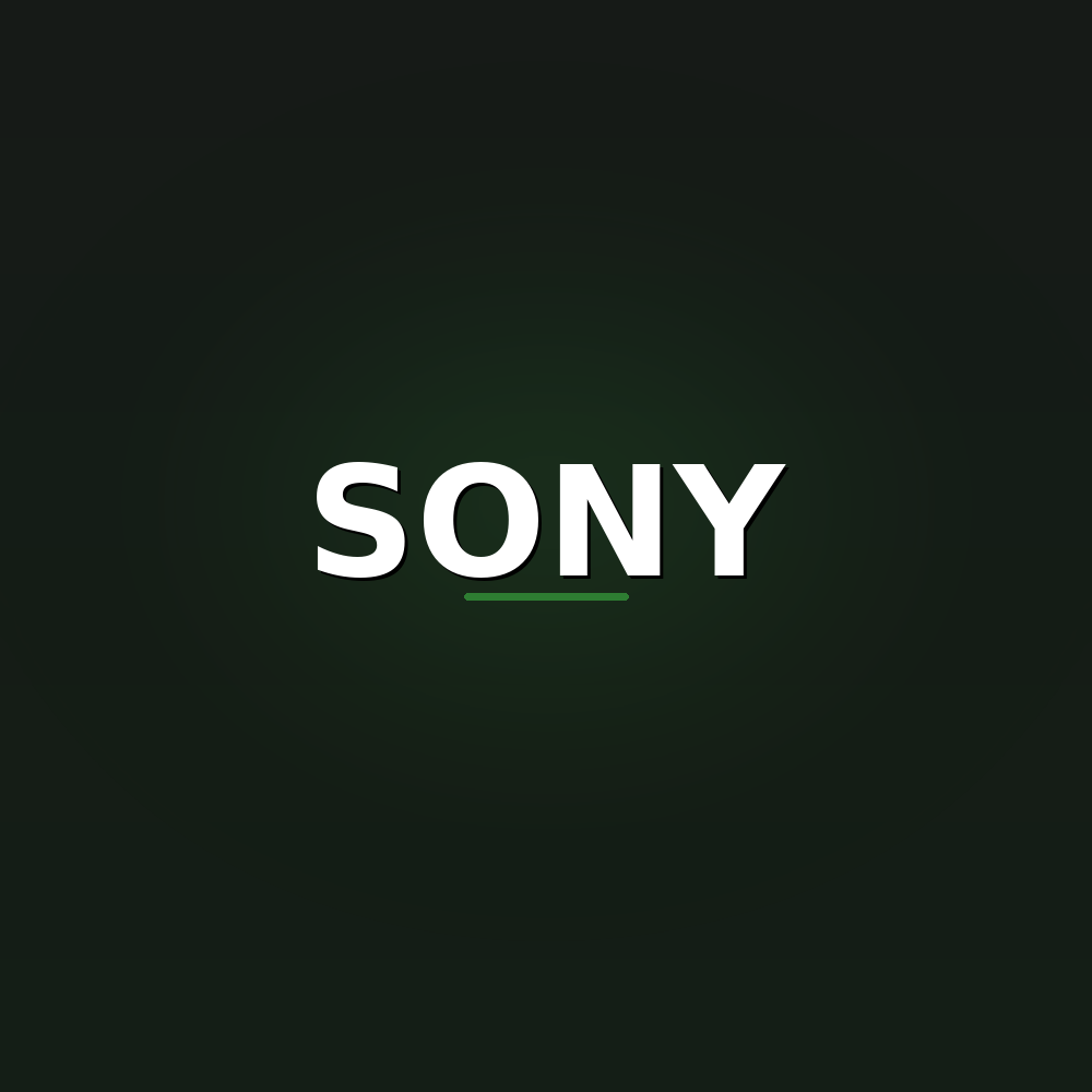 Sony – Notebook-Ersatzteile