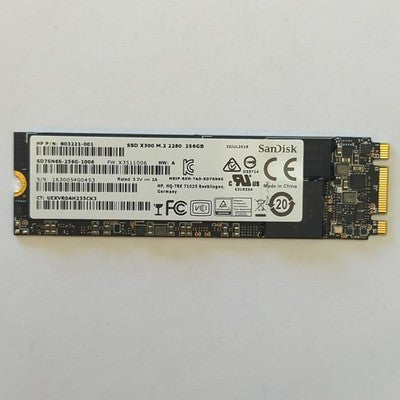 SanDisk X300 256GB M.2 2280 SATA SSD Festplatte 256 GB
