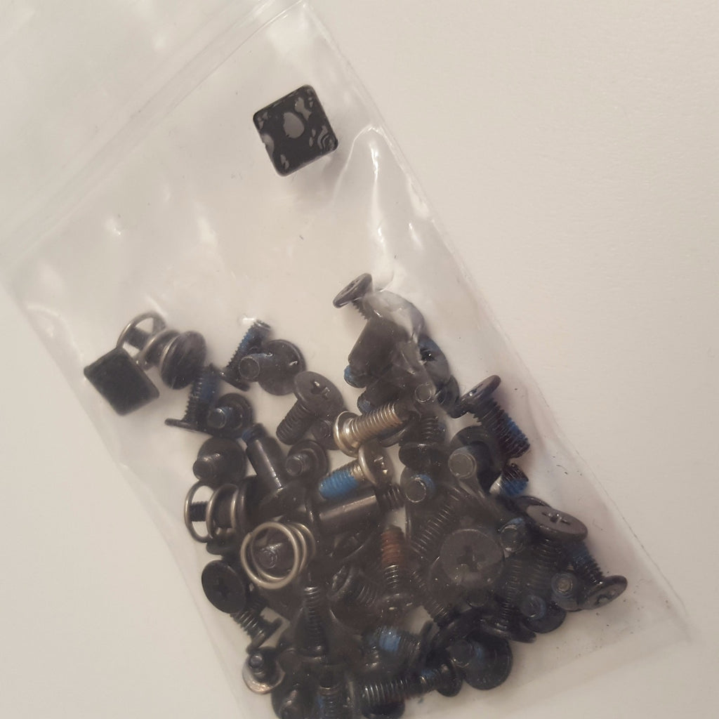 Lenovo G585 Schraubensatz Screw Set Gehäuseschrauben Schrauben