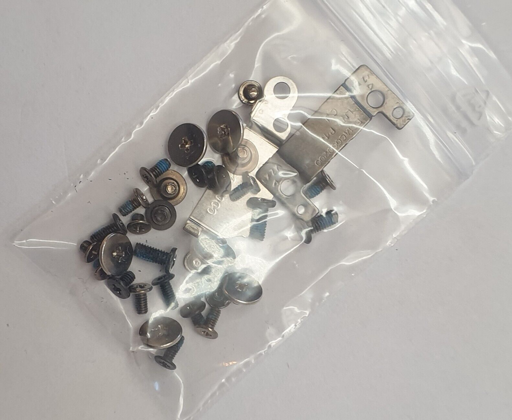 Lenovo ThinkPad T15 Gen 1 G1 Schraubensatz Screw Set mit Scharnierhalterungen